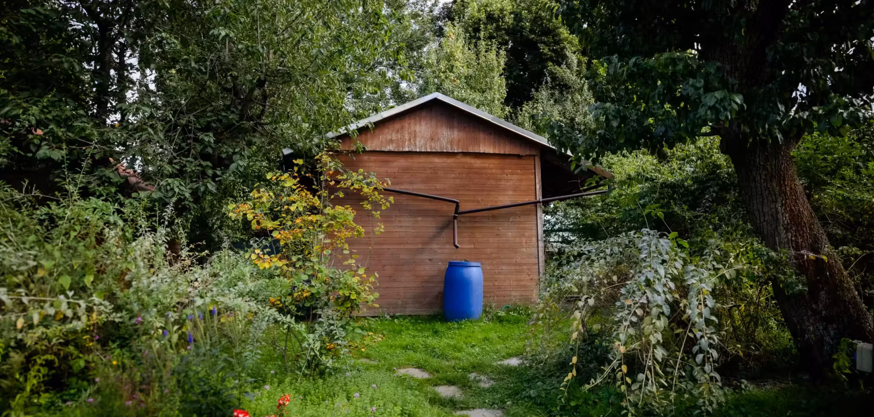 Dark retreat Cabin of Friendship in an overgrown garden in Czechia
