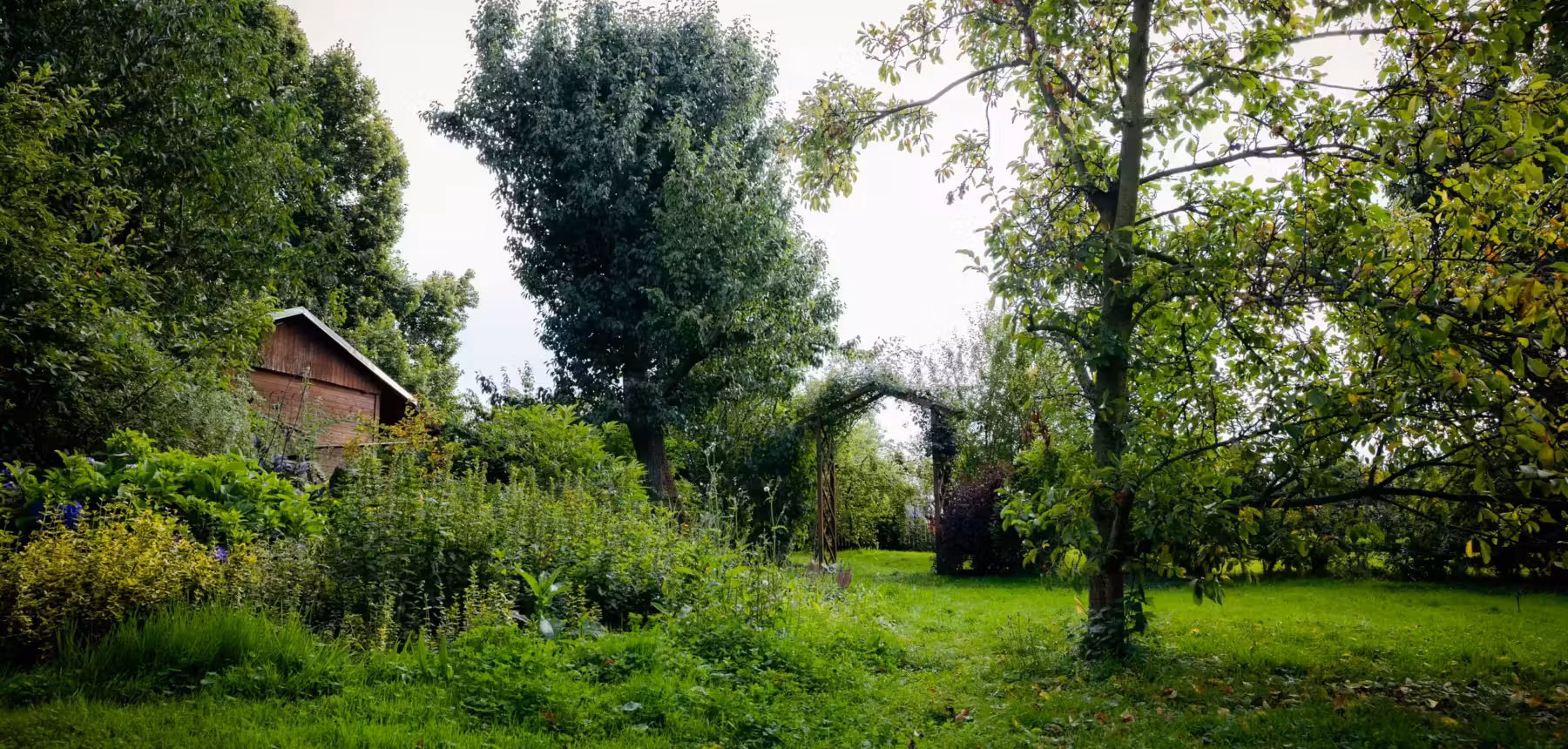 Garden with fruit trees around the dark retreat cabins near Kutná Hora