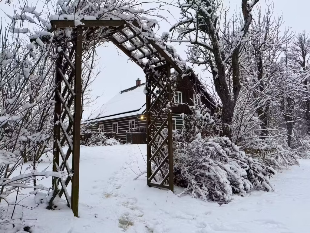 Holzbogen im Schnee bei den Dunkelretreat-Hütten